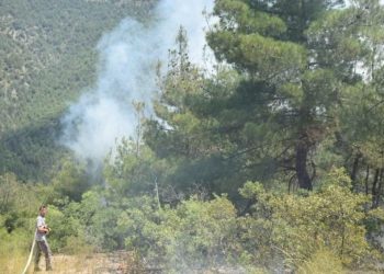 Eskişehir’de orman yangını