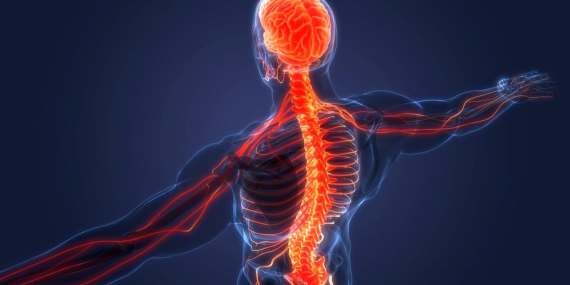 Felç tedavisinde umut veren çalışma