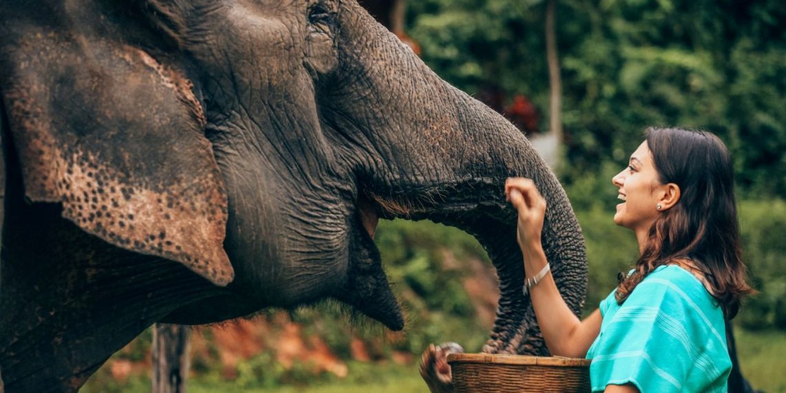 Filler ile insanların ortak özelliği ortaya çıktı