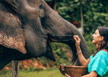 Filler ile insanların ortak özelliği ortaya çıktı