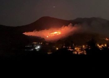 Fıstık bahçesinde çıkan yangın ormana da sıçradı