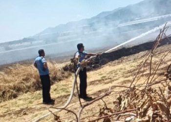 Gaziantep’te anız yangını (45 dönüm alan ve ağaçlar ziyan gördü)