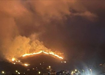 Geçen yıl çıkan orman yangınlarının 830’unun sebebi ihmal ve kazalar