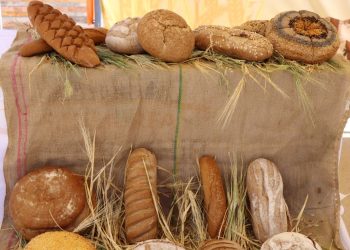 Göbeklitepe’de buğday ile yapılan 100 çeşit yemeğin sunumu yapılacak