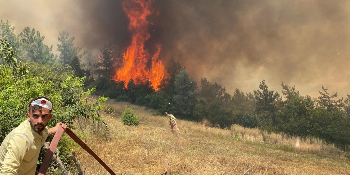 Gökçeada, Osmaniye ve Kahramanmaraş’ta orman yangını