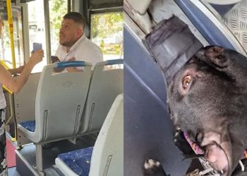 Halk otobüsünde köpek tartışması