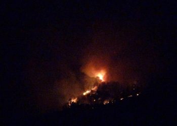 Hatay’da orman yangını: Takımlar müdahale ediyor