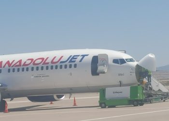 İstanbul-Nevşehir seferi yapan uçak kuş sürüsüne çarptı