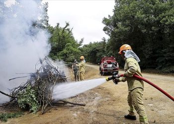 İstanbul’da orman yangını
