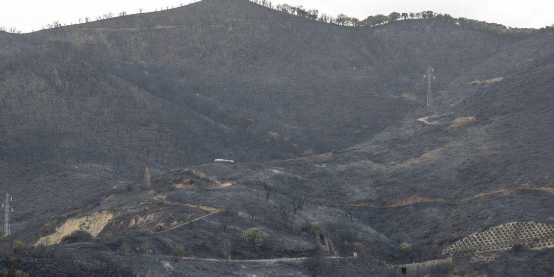 İtalya’da bu yıl 73 binden fazla futbol sahası kadar alan yandı