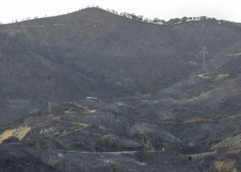 İtalya’da bu yıl 73 binden fazla futbol sahası kadar alan yandı