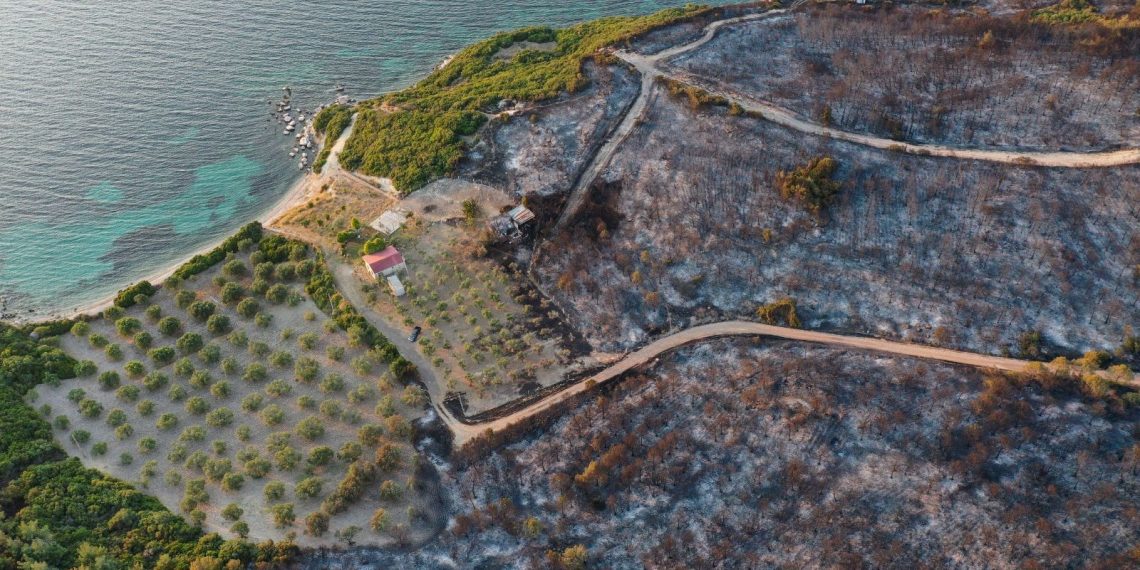 İzmir’deki orman yangınında can kaybı
