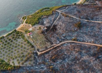 İzmir’deki orman yangınında can kaybı