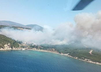 İzmir’in iki ilçesinde orman yangını
