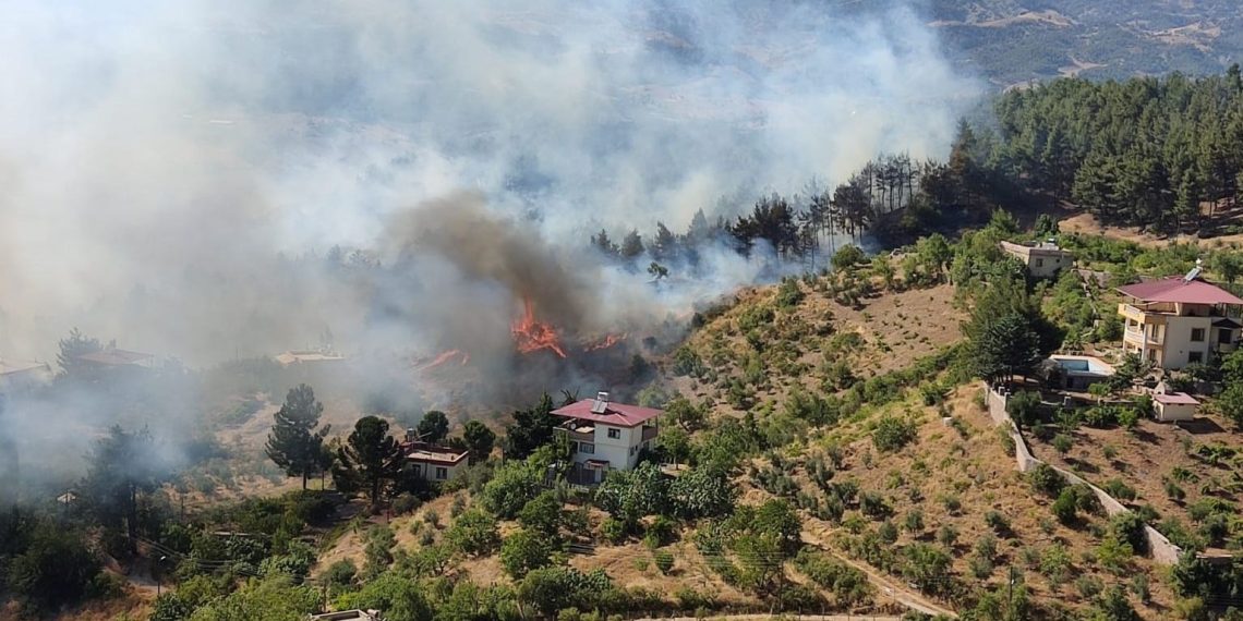 Kahramanmaraş’ta orman yangını