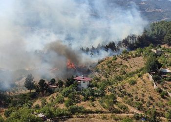 Kahramanmaraş’taki orman yangınına müdahale sürüyor