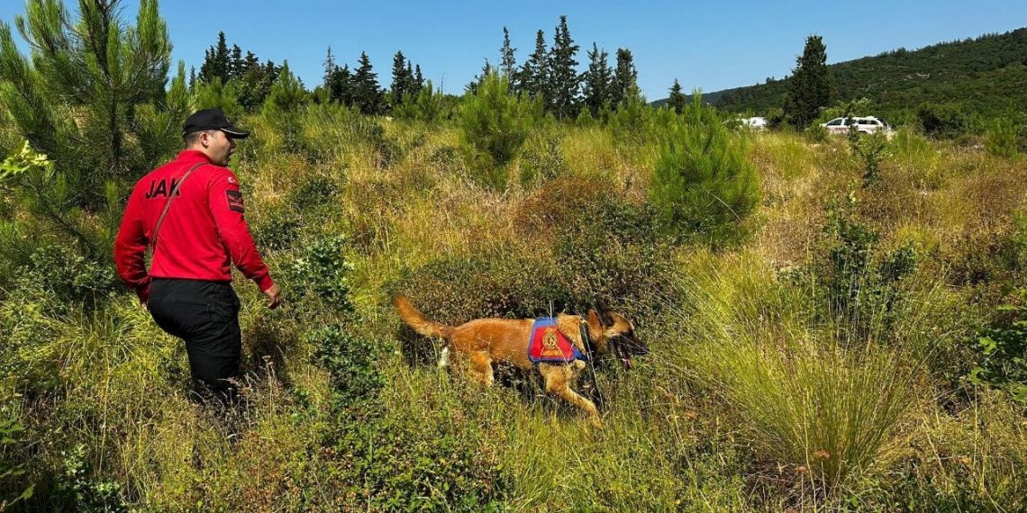 Kayıp ekonomistten iz yok: Arama çalışmaları 23. gününde