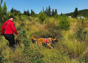 Kayıp ekonomistten iz yok: Arama çalışmaları 23. gününde