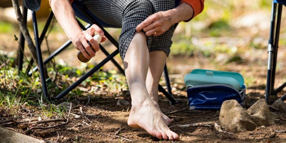 Kene ısırma hadiseleri artıyor