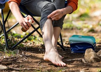 Kene ısırma hadiseleri artıyor