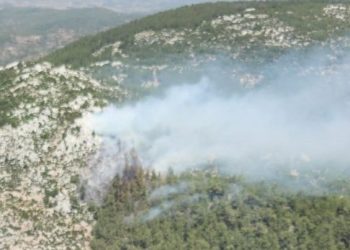 Milas’ta orman yangını