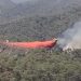 Muğla Fethiye’de orman yangını
