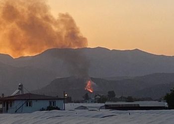 Muğla’da makilik alanda çıkan yangın denetim altına alındı: Bir kişi gözaltında