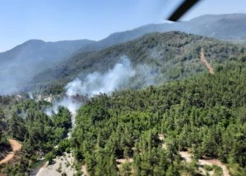 Muğla’da orman yangını