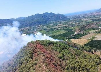 Muğla’da orman yangını