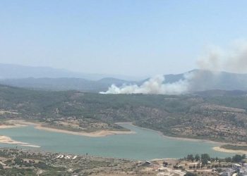 Muğla’da orman yangını (Havadan ve karadan müdahale başladı)