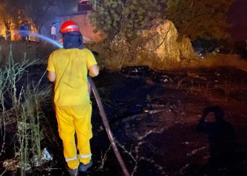Muğla’da orman yangını