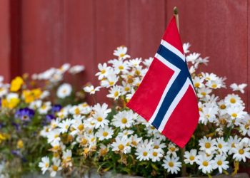 Norveç’te 12 bakanlığa siber hücum