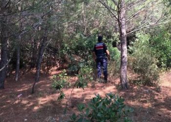 Ormanlın alanda mangal yakan şahıslara 37 bin 555 TL ceza