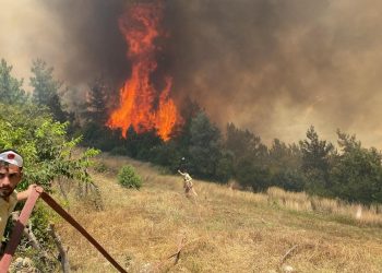 Osmaniye’de orman yangını