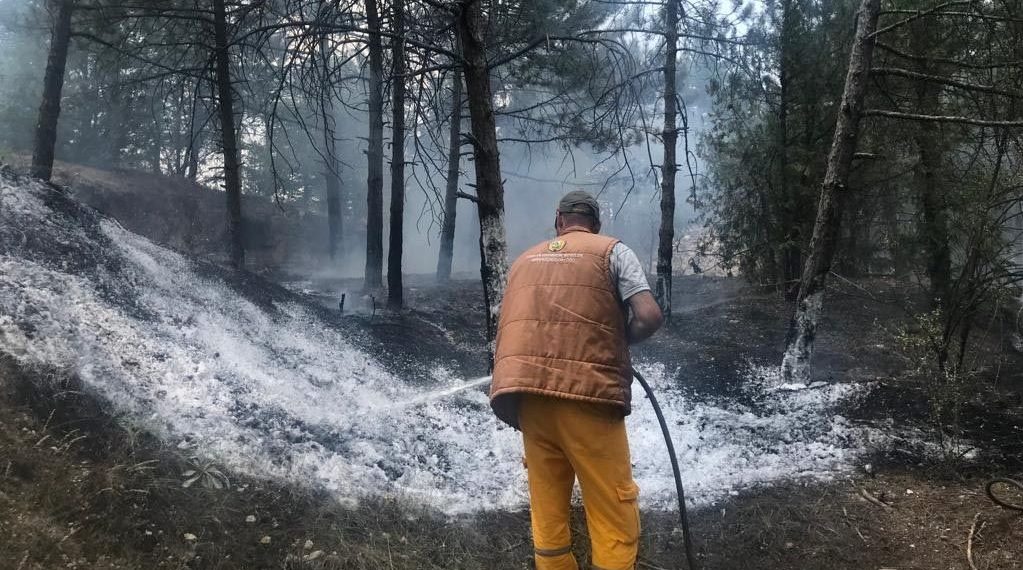 Piknikçilerin yaktığı ateş ormanı yaktı