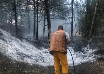 Piknikçilerin yaktığı ateş ormanı yaktı