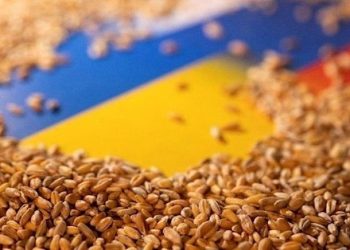 Rusya Tahıl Mutabakatı’na dönüş kaidesini açıkladı: Zelenski’den Erdoğan ve Guterres’e tahıl muahedesi mektubu