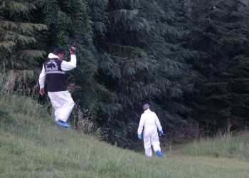 Sahibinin dolaştırdığı köpeğin aldığı koku cesedi ortaya çıkardı