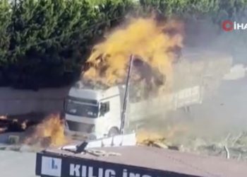 Saman yüklü TIR alev alev yandı