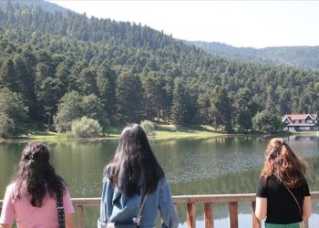 Seyahatsever Projesi nedir, müracaat nasıl yapılır? Seyahatsever Projesi’ne iştirak hakkında bilgiler