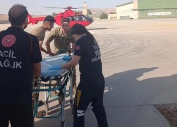 Siirt’te akrebin soktuğu çoban hastanelik oldu