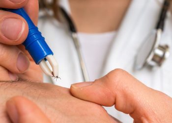 Sivas’ta kene iki can aldı