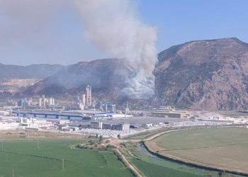Söke’de orman yangını (15 hektar alan ziyan gördü)