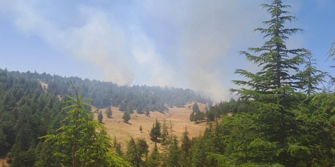 SON DAKİKA HABERİ: Adana’da orman yangını