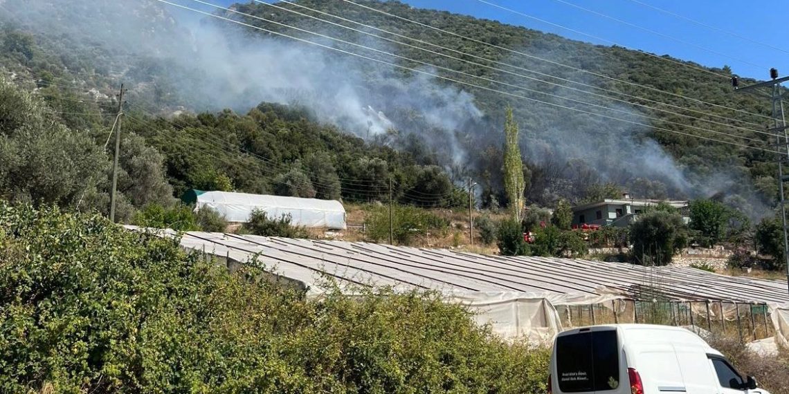 SON DAKİKA HABERİ: Kaş’ta makilik alanda yangın