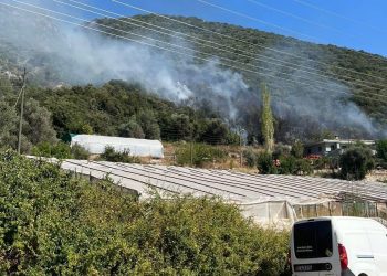 SON DAKİKA HABERİ: Kaş’ta makilik alanda yangın