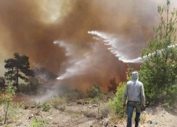 Suriye’de 4 gündür süren orman yangınında 1 kişi öldü