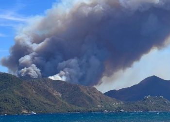 Tarım ve Orman Bakanı Yumaklı: “Son 10 günde 40 vilayetimizde 203 orman yangını meydana geldi”