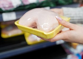 Tavuklarda anlık bakteri tespiti yapan kap üretildi