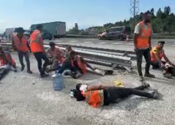 TEM’de can pazarı! Araba, kamyonete çarptı: Yaralılar var